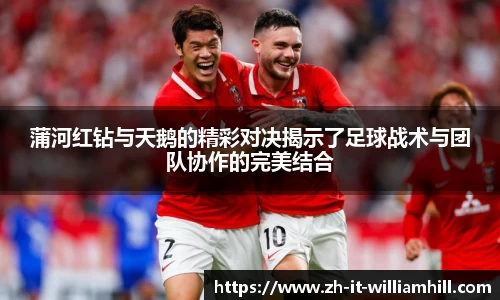蒲河红钻与天鹅的精彩对决揭示了足球战术与团队协作的完美结合
